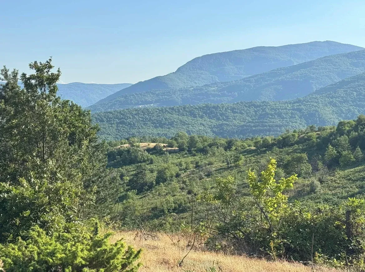 Pamje reale nga terreni i DRENI-t